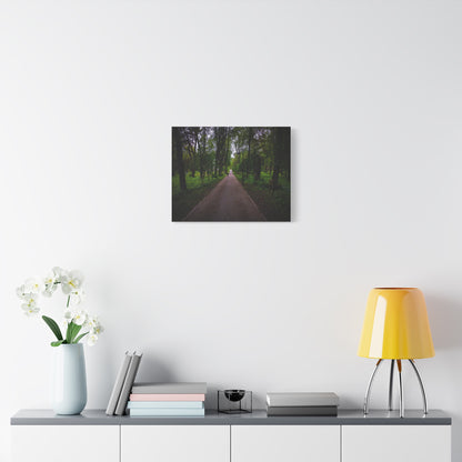 Zagares Park Lithuania Matte Canvas, Stretched, 1.25"