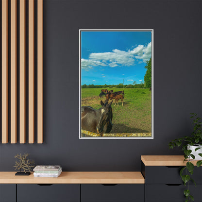 horses 2 Matte Canvas, Framed (Multi-color)
