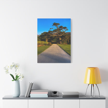Muckross House Garden Matte Canvas, Stretched, 1.25"