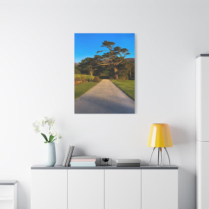 Muckross House Garden Matte Canvas, Stretched, 1.25"