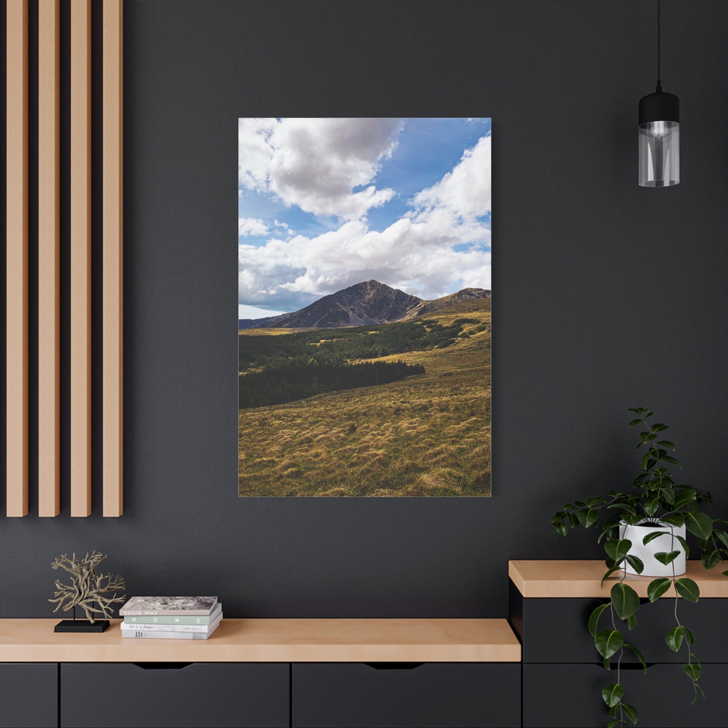 Mount Brendon Matte Canvas, Stretched, 1.25"