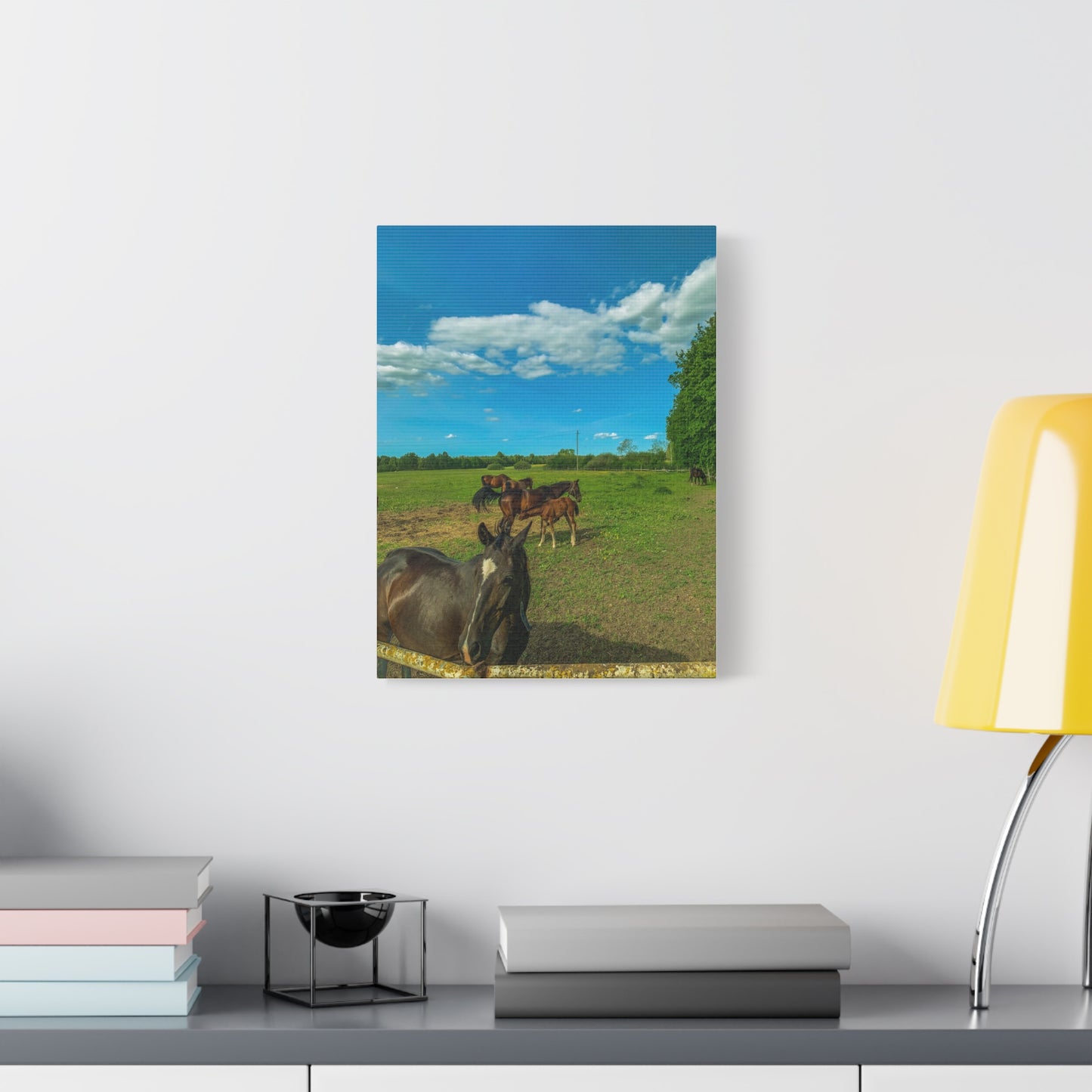 Horse Matte Canvas, Stretched, 1.25"