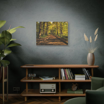 Listowel Town Park Autumn Matte Canvas, Stretched, 1.25"