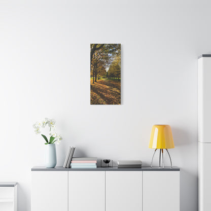 Listowel Town Park Autumn Matte Canvas, Stretched, 1.25"