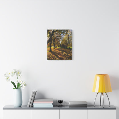 Listowel Town Park Autumn Matte Canvas, Stretched, 1.25"