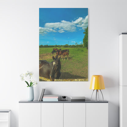 Horse Matte Canvas, Stretched, 1.25"