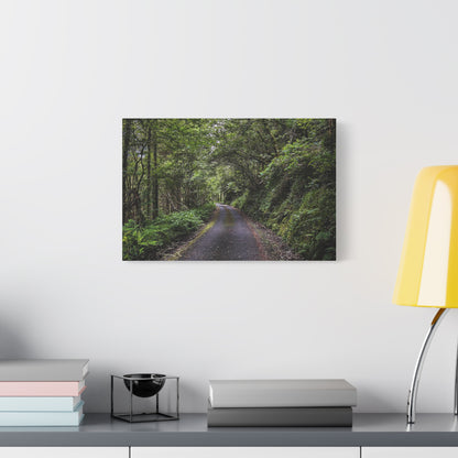 Glanageenty Forest Trail Matte Canvas, Stretched, 1.25"