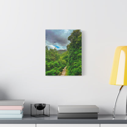 Torc Trail Matte Canvas, Stretched, 1.25"