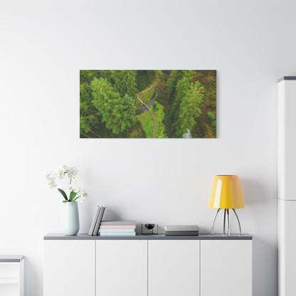 Glanageenty Forest Matte Canvas, Stretched, 1.25"