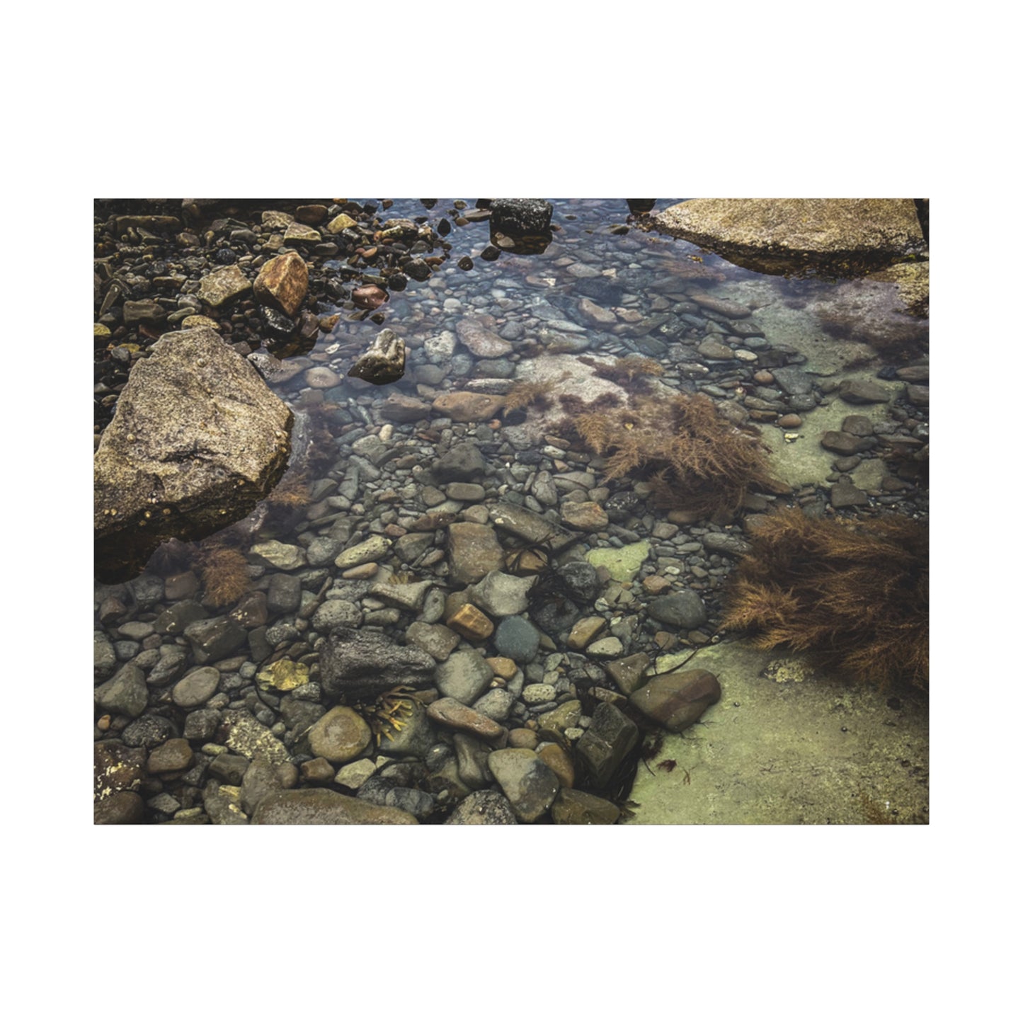 Rocks Matte Canvas, Stretched, 1.25"