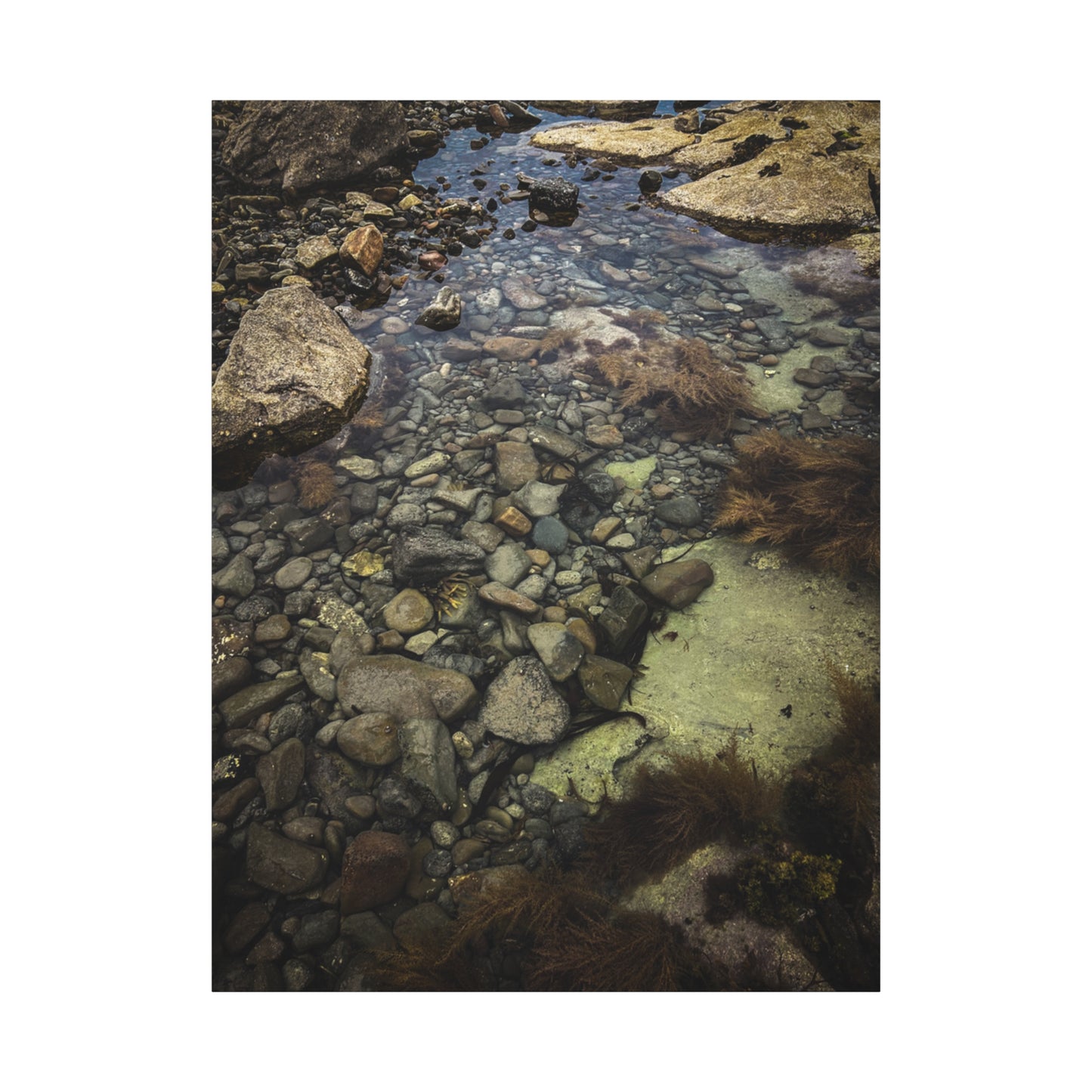 Rocks Matte Canvas, Stretched, 1.25"