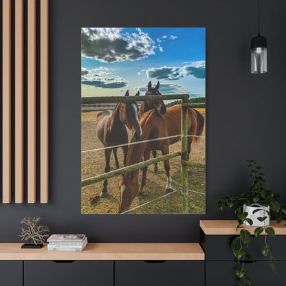 Horses Matte Canvas, Stretched, 1.25"