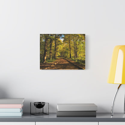 Listowel Town Park Autumn Matte Canvas, Stretched, 1.25"