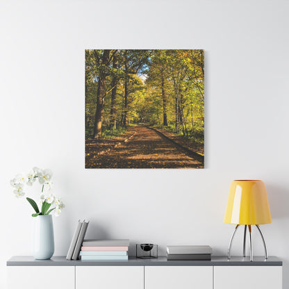 Listowel Town Park Autumn Matte Canvas, Stretched, 1.25"