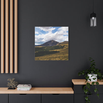 Mount Brendon Matte Canvas, Stretched, 1.25"