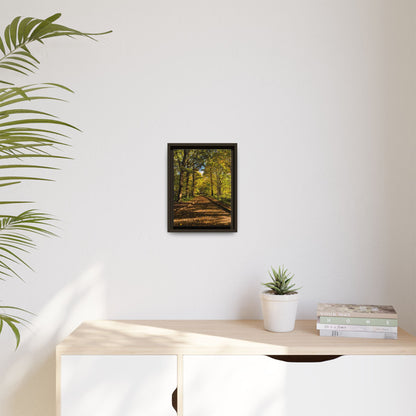 Listowel Town Park Autumn Matte Canvas, Framed (Multi-color)