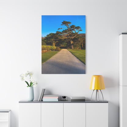 Muckross House Garden Matte Canvas, Stretched, 1.25"