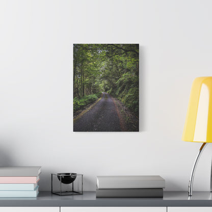 Glanageenty Forest Trail Matte Canvas, Stretched, 1.25"
