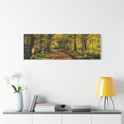 Listowel Town Park Autumn Matte Canvas, Stretched, 1.25"