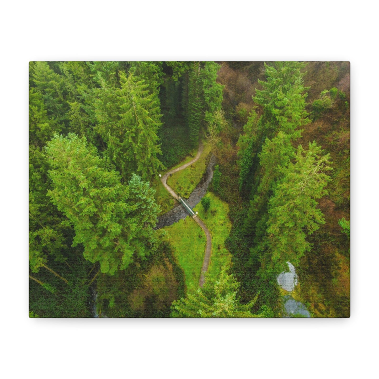 Glanageenty Forest Matte Canvas, Stretched, 1.25"