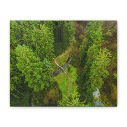 Glanageenty Forest Matte Canvas, Stretched, 1.25"