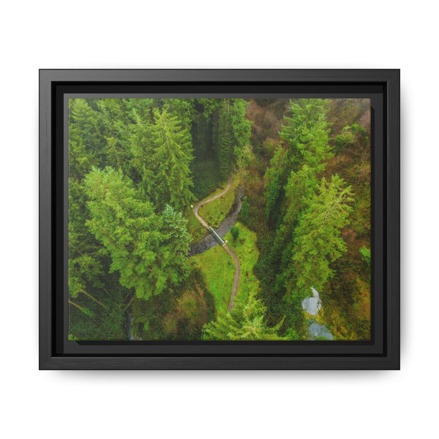 Glanageenty Forest Matte Canvas, Framed (Multi-color)
