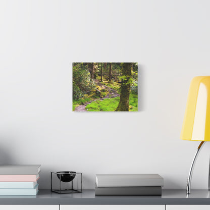 Torc Trail Matte Canvas, Stretched, 1.25"