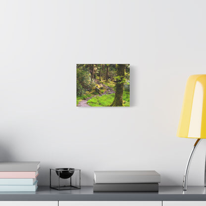 Torc Trail Matte Canvas, Stretched, 1.25"
