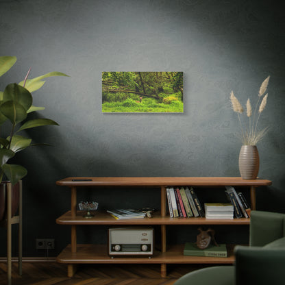 Deer in Ditch Matte Canvas, Stretched, 1.25"