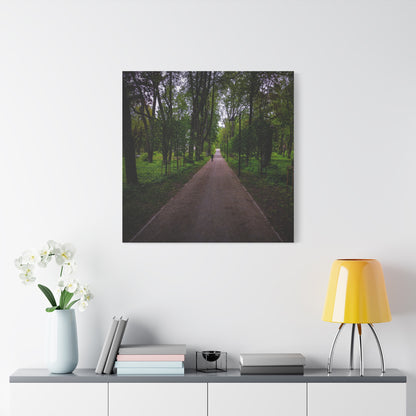 Zagares Park Lithuania Matte Canvas, Stretched, 1.25"