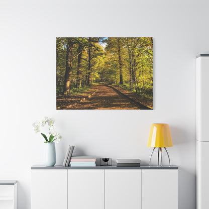 Listowel Town Park Autumn Matte Canvas, Stretched, 1.25"