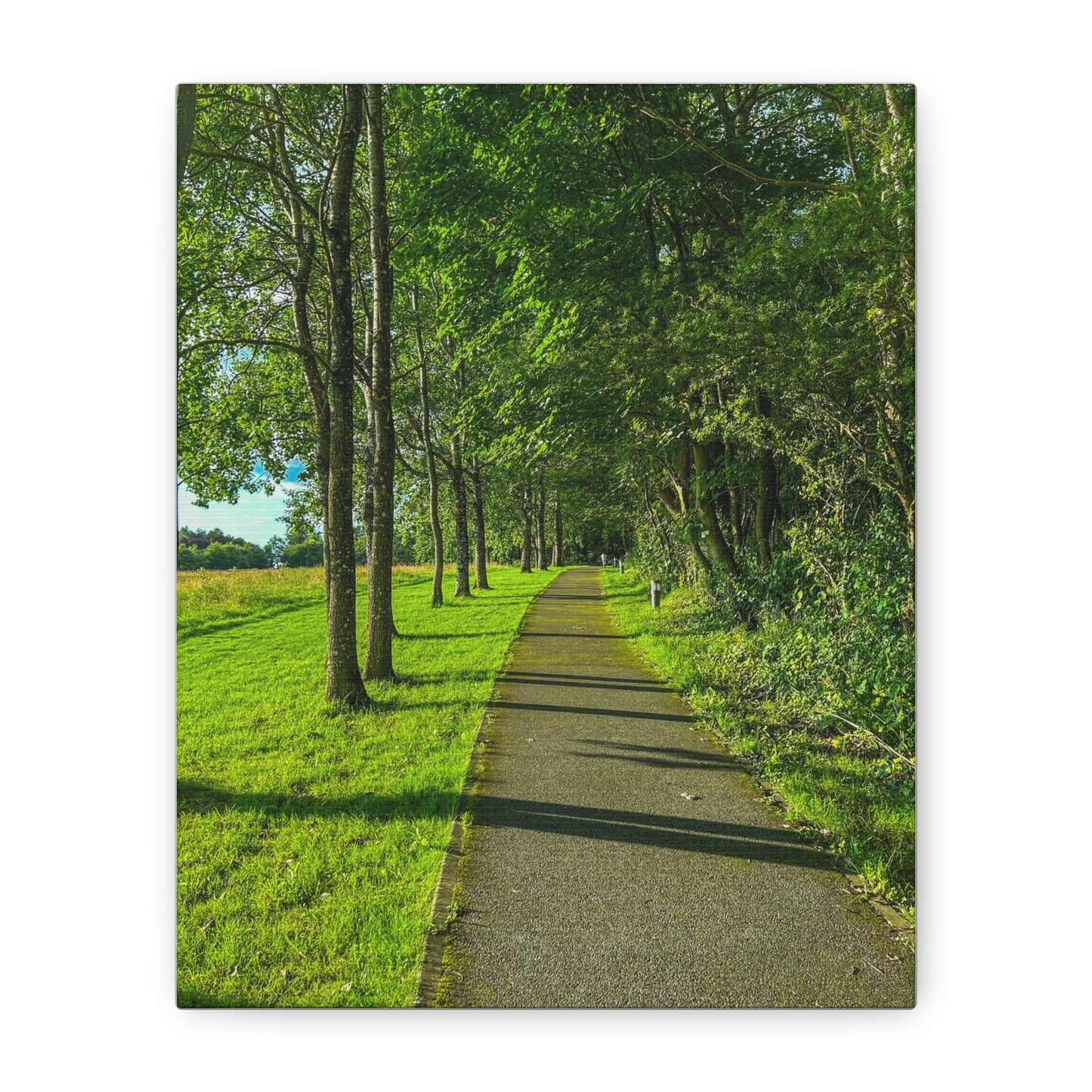 Listowel Town Park Matte Canvas, Stretched, 1.25"