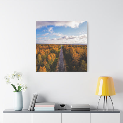 Somewhere in Lithuania Matte Canvas, Stretched, 1.25"