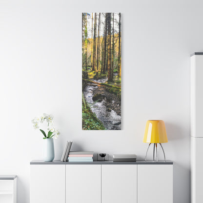 Glanageenty Forest Trail 2 Matte Canvas, Stretched, 1.25"