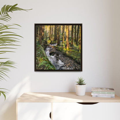 Glanageenty Forest Trail 2 Matte Canvas, Framed (Multi-color)