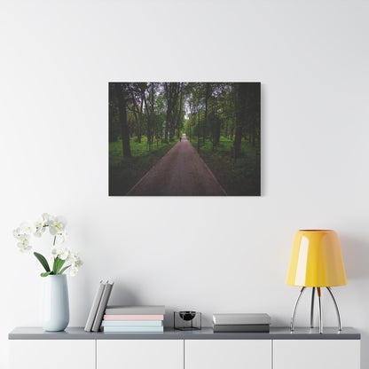 Zagares Park Lithuania Matte Canvas, Stretched, 1.25"