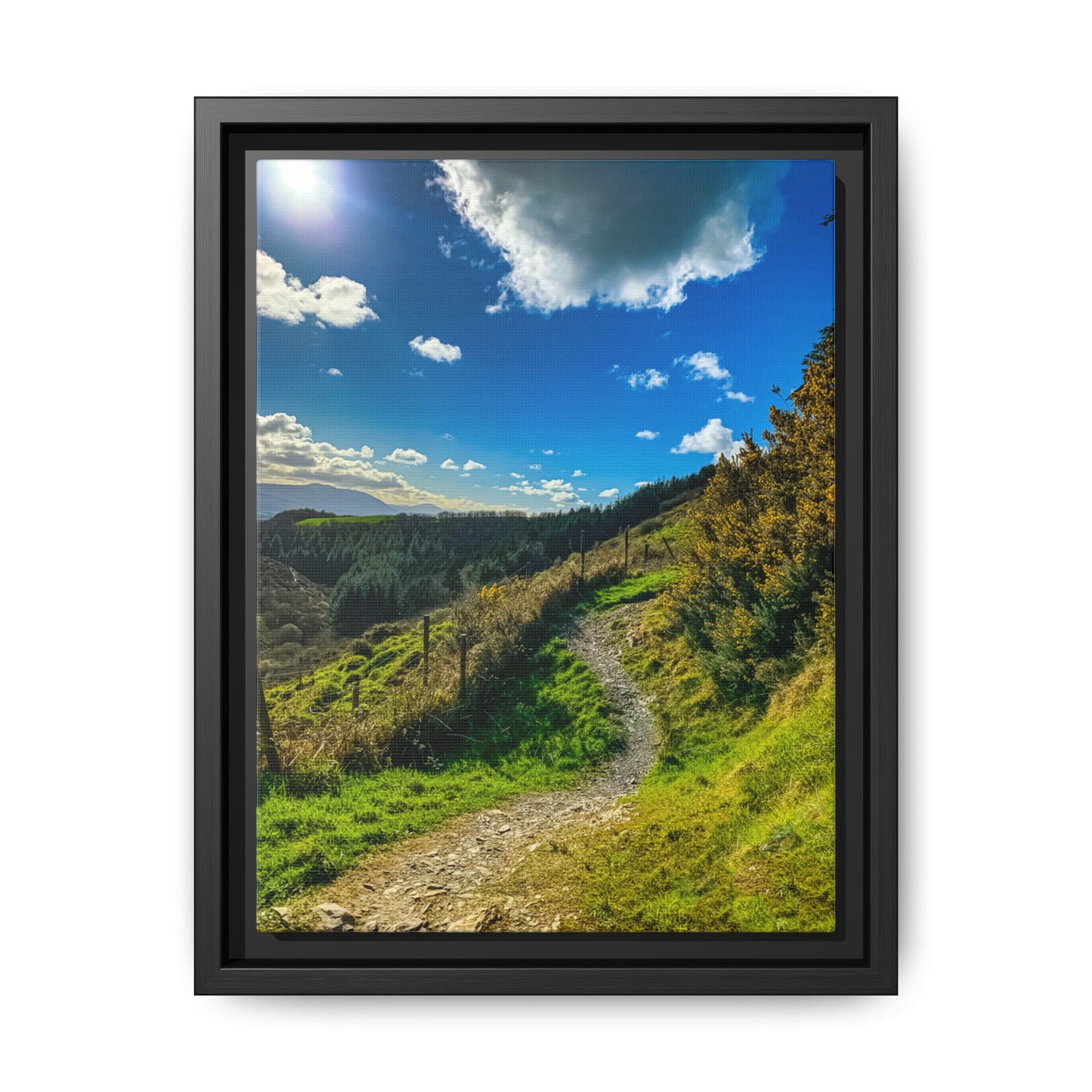 Glanageenty Forest Trail Matte Canvas, Framed (Multi-color)