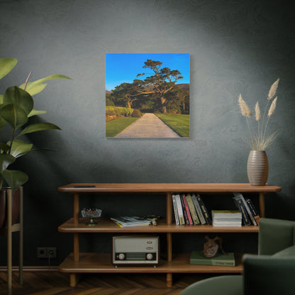 Muckross House Garden Matte Canvas, Stretched, 1.25"