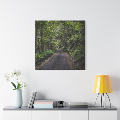 Glanageenty Forest Trail Matte Canvas, Stretched, 1.25"