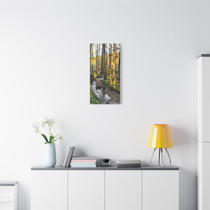 Glanageenty Forest Trail 2 Matte Canvas, Stretched, 1.25"