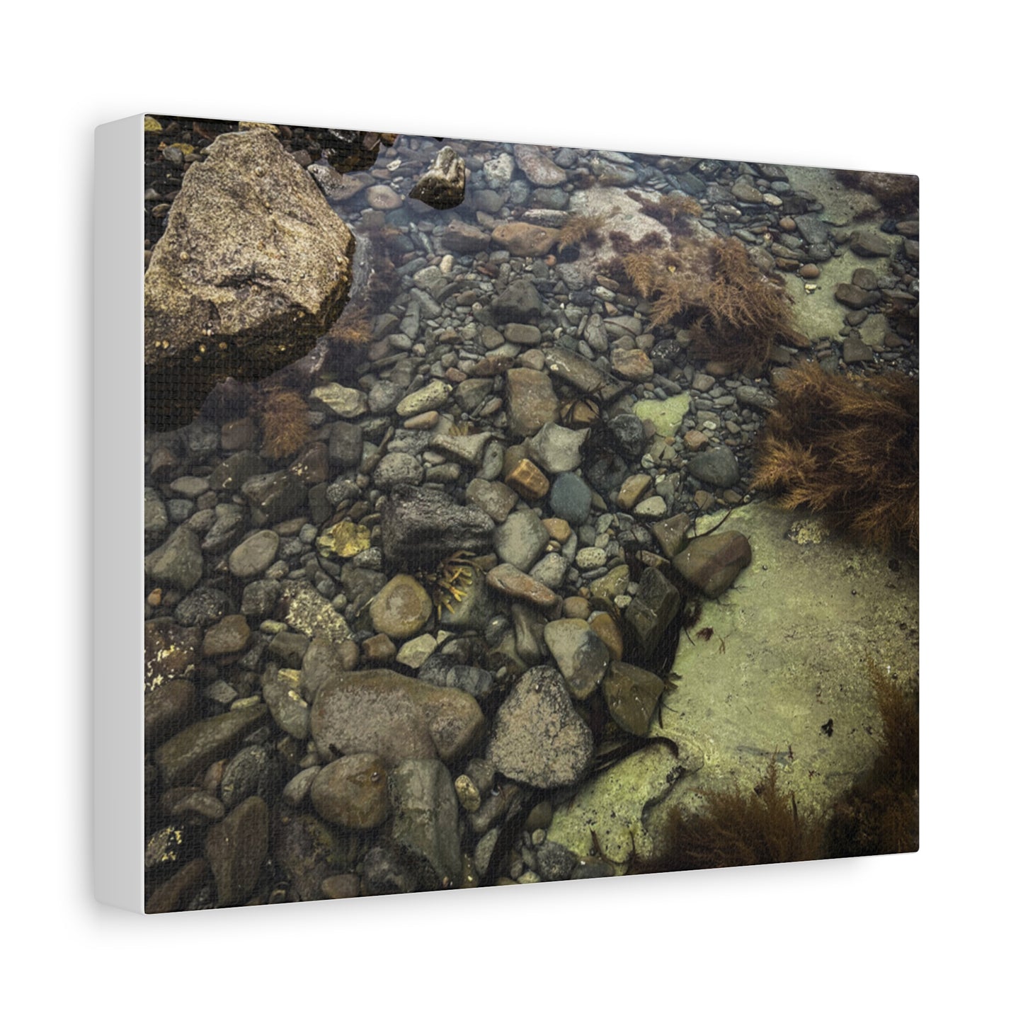 Rocks Matte Canvas, Stretched, 1.25"