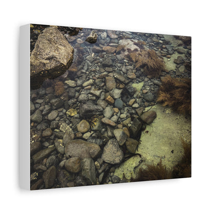 Rocks Matte Canvas, Stretched, 1.25"