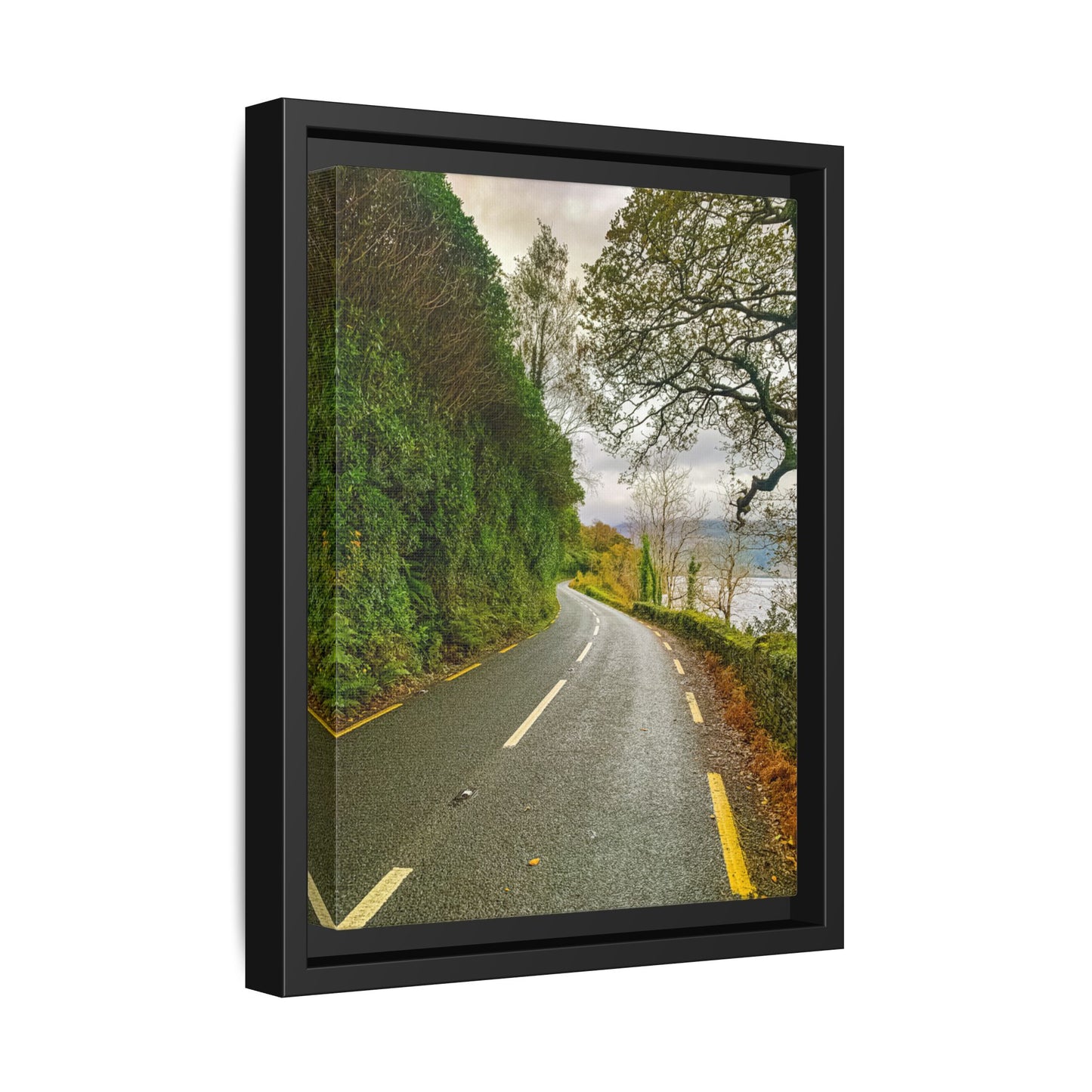 Killarney National Park Matte Canvas, Framed (Multi-color)