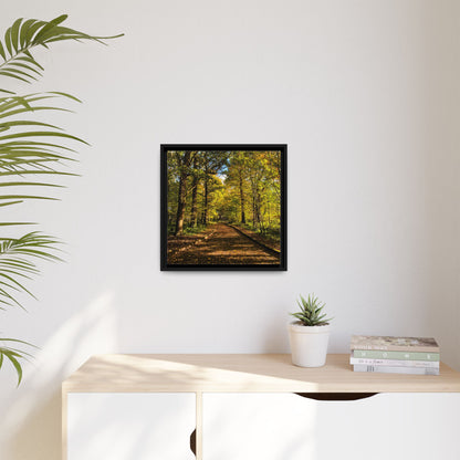 Listowel Town Park Autumn Matte Canvas, Framed (Multi-color)