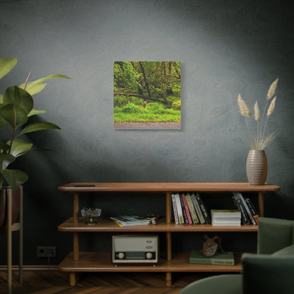 Deer in Ditch Matte Canvas, Stretched, 1.25"