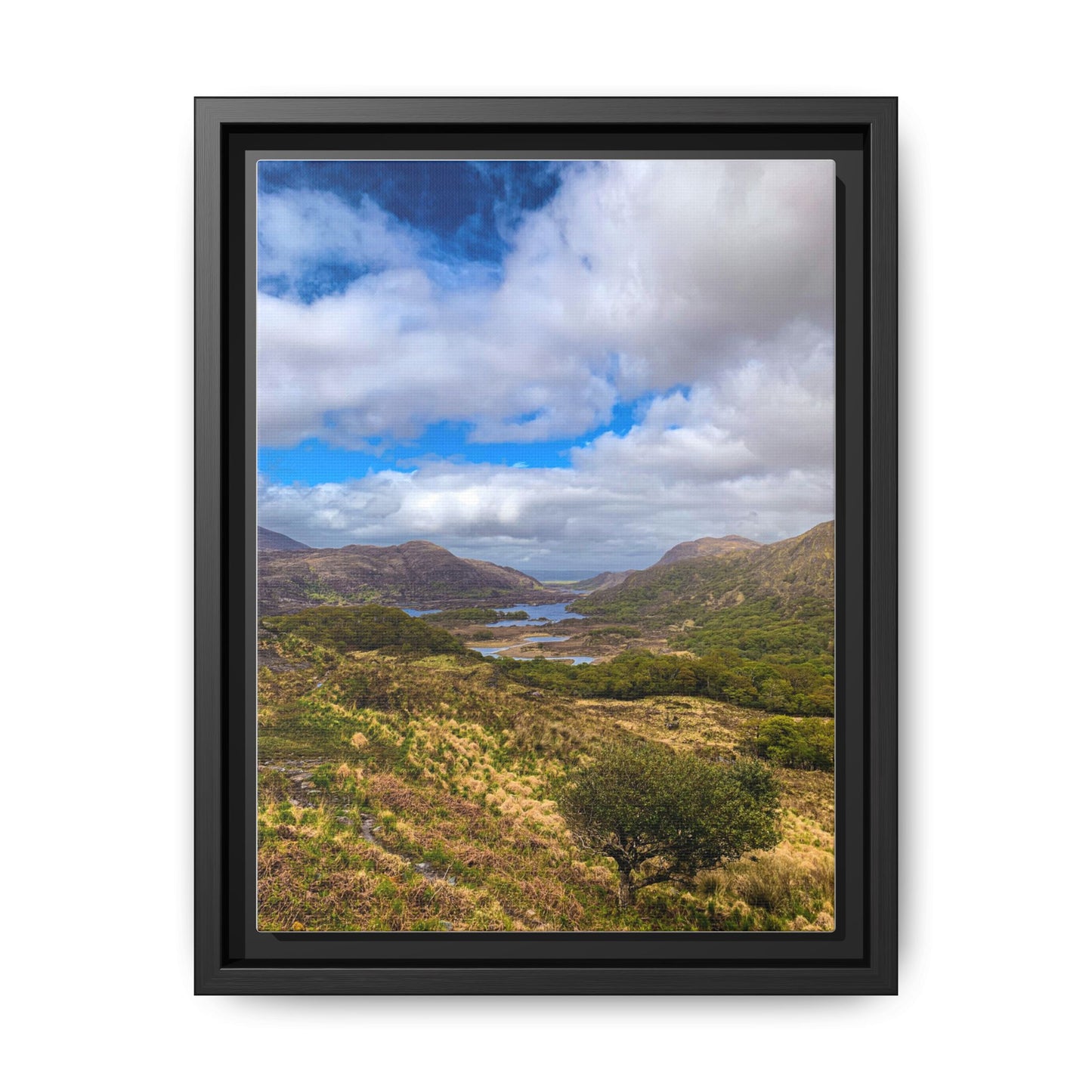Matte Canvas, Framed (Multi-color)