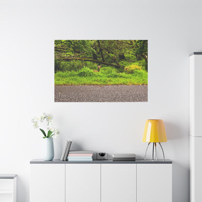 Deer in Ditch Matte Canvas, Stretched, 1.25"