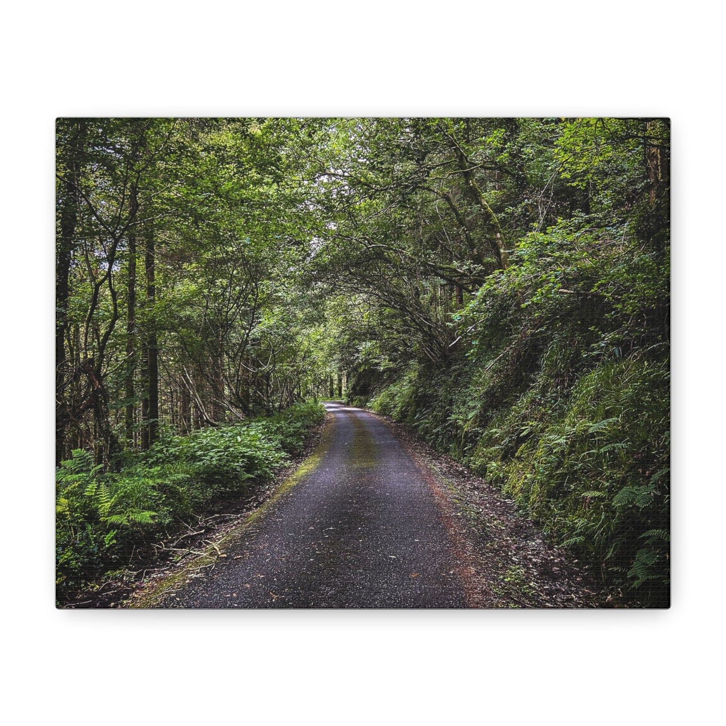 Glanageenty Forest Trail Matte Canvas, Stretched, 1.25"