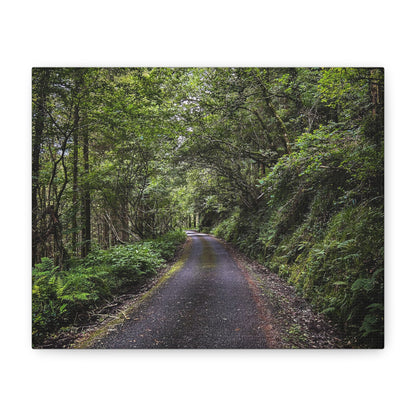 Glanageenty Forest Trail Matte Canvas, Stretched, 1.25"