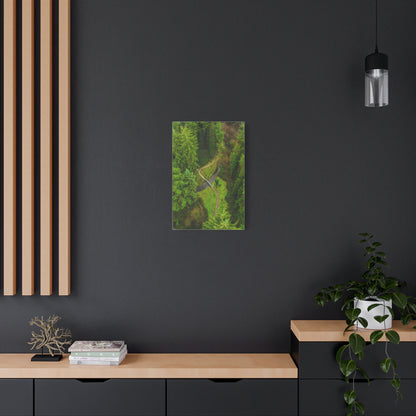 Glanageenty Forest Matte Canvas, Stretched, 1.25"